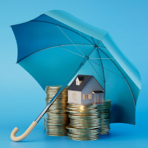 importance of nota simple in Spain